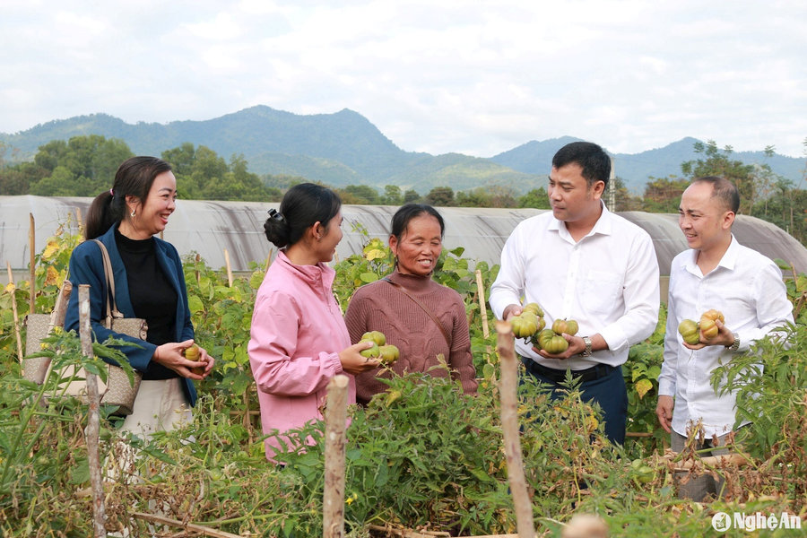 Phát triển sản phẩm OCOP, nâng giá trị nông sản ở Tương Dương
