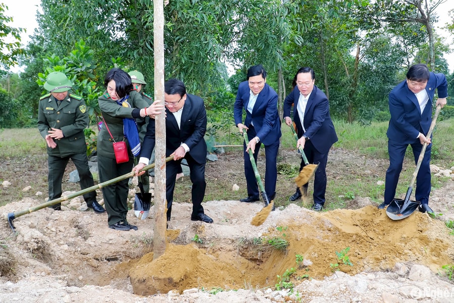 Tỉnh Nghệ An phát động 'Tết trồng cây đời đời nhớ ơn Bác Hồ' Xuân Ất Tỵ 2025