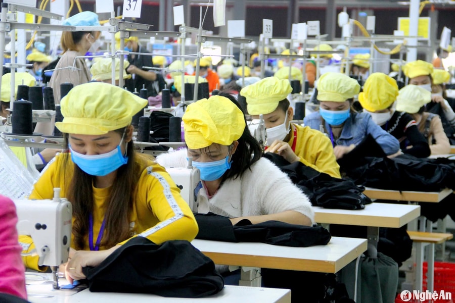 Nhà máy ở Nghệ An đi vào sản xuất sẵn sàng cho năm 2025