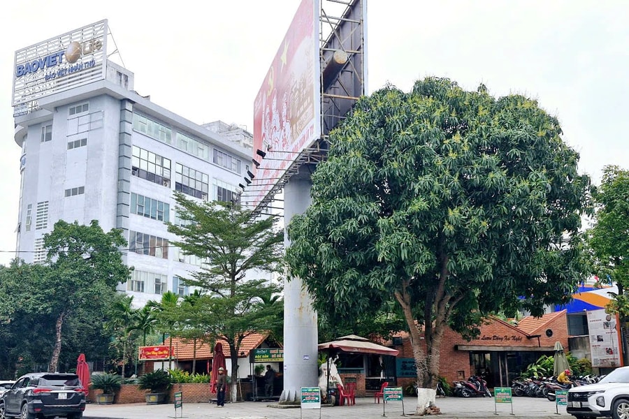 VCCI chi nhánh Nghệ An - Hà Tĩnh - Quảng Bình đã xây dựng vi phạm quy hoạch như thế nào?