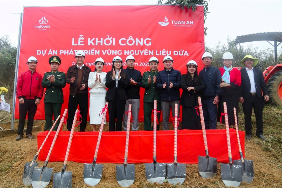 Khởi công Dự án phát triển vùng nguyên liệu dứa tại huyện miền núi Quế Phong