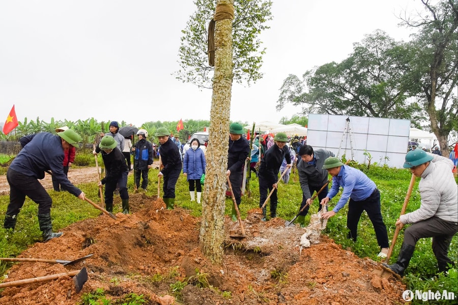 Hội Nông dân Nghệ An phát động phong trào nông dân trồng cây chống sạt lở gắn với tạo cảnh quan hai bờ sông Lam