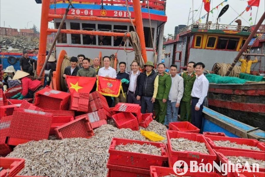 Trúng gần 30 tấn cá cơm, ngư dân Nghệ An thu về 300 triệu sau một ngày ra khơi