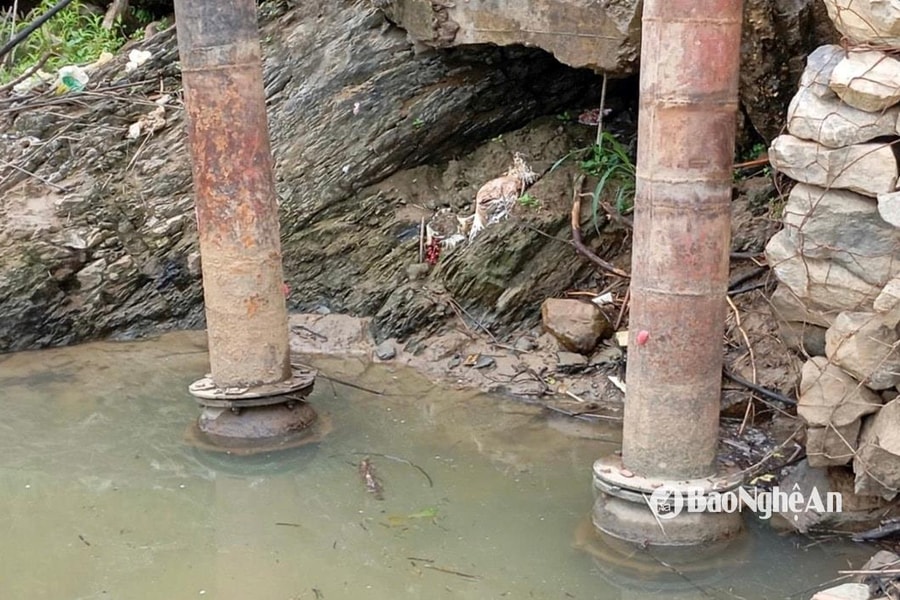 Sông Lam, Sông Con cạn nước, nhiều trạm bơm khó hoạt động