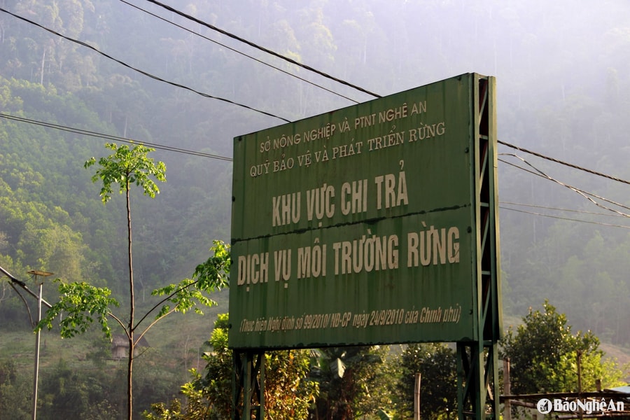 Bảo vệ rừng, tạo sinh kế bền vững nơi biên giới xứ Nghệ