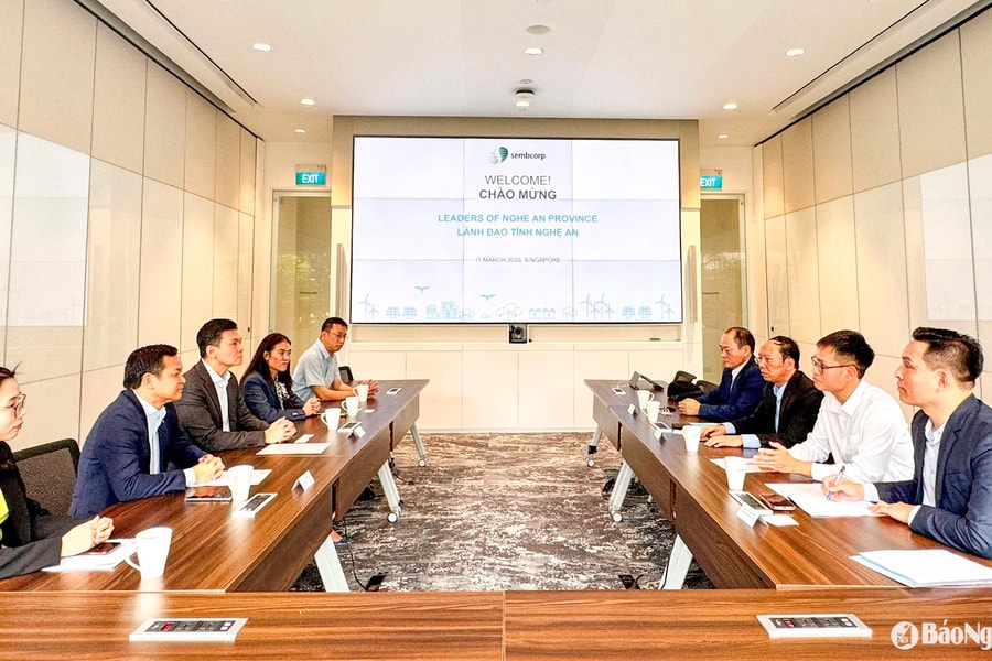 Phó Chủ tịch UBND tỉnh Nghệ An Bùi Thanh An làm việc với lãnh đạo Tập đoàn Sembcorp - Singapore
