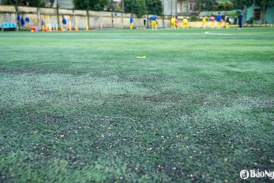 Tổng Giám đốc Sông Lam Nghệ An nêu giải pháp khắc phục sân tập xuống cấp