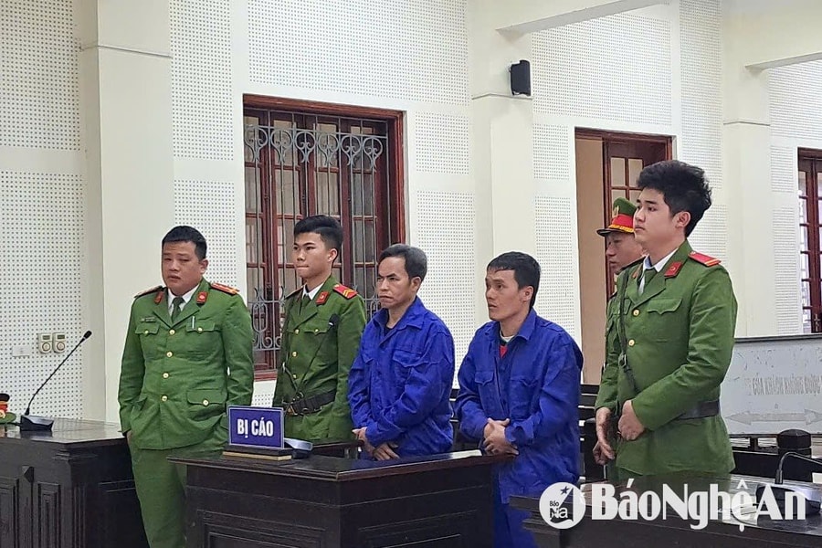 Tuồn ma túy vào Việt Nam, hai người ngoại quốc lĩnh án tử hình