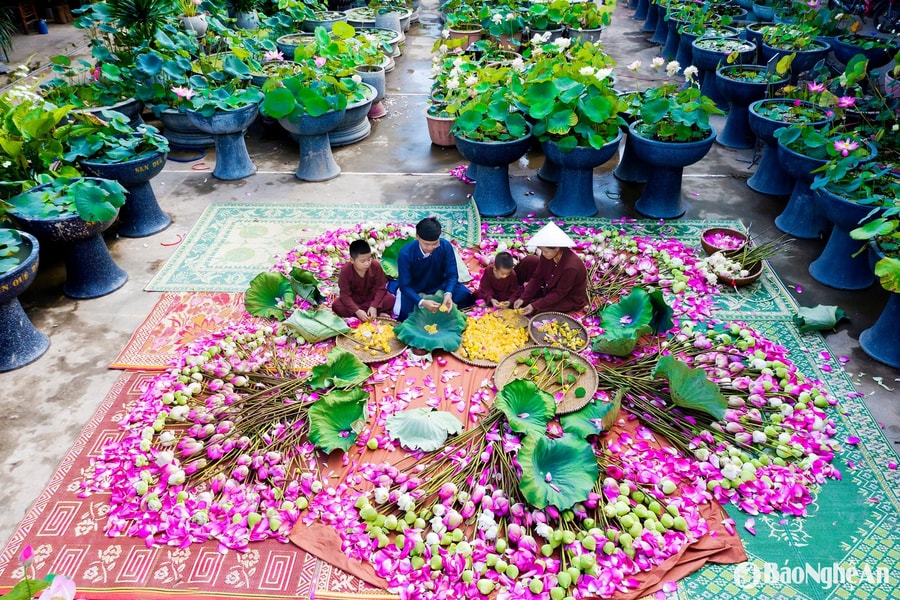 Dấu ấn du lịch Nghệ An tại Hội chợ Du lịch quốc tế 2025