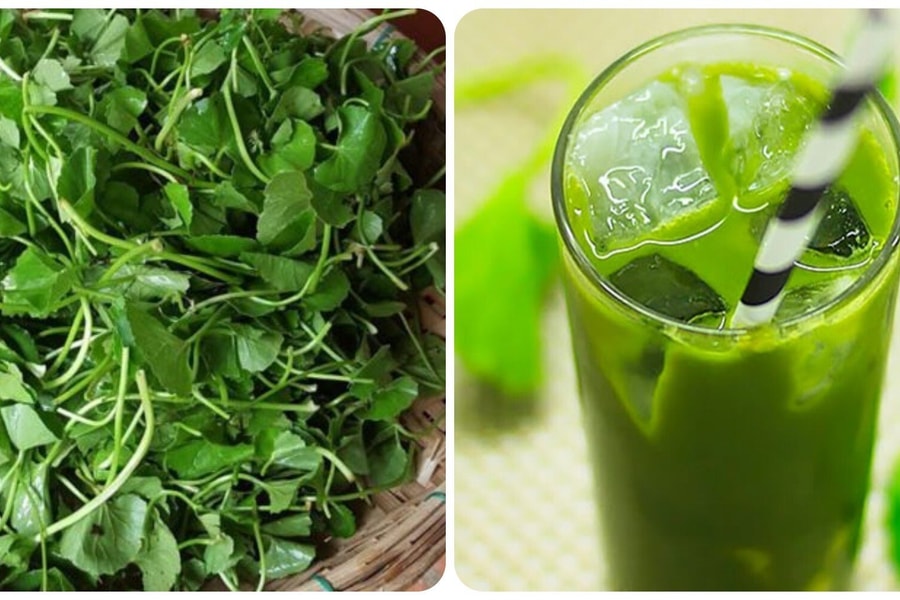 6 tác dụng của nước rau má với sức khoẻ