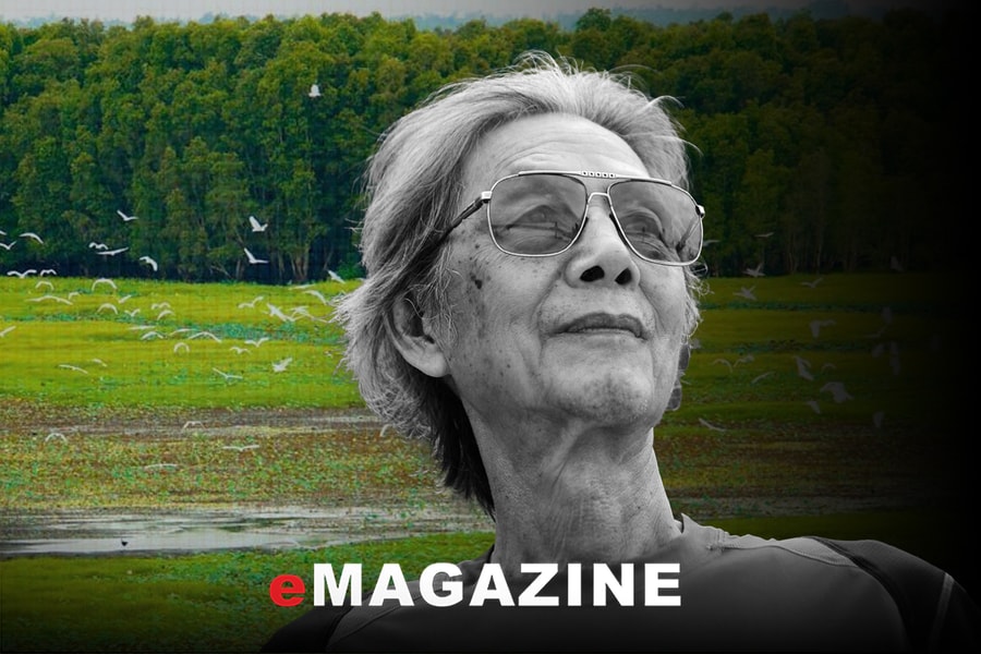 Mãi dâng cho đời bài tình ca Đất Phương Nam