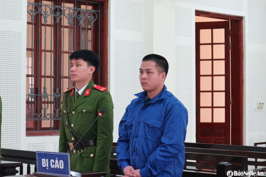 Vào rừng tìm mua ma túy, con nghiện lĩnh án tù