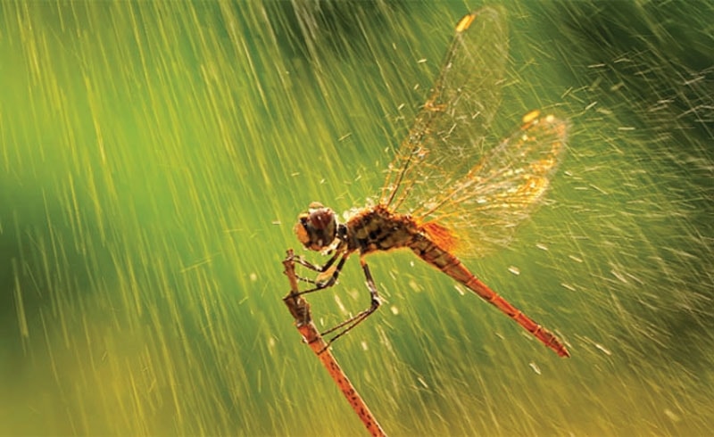 Thời tiết Thanh Hóa – Hà Tĩnh ngày 8/4: Ngày nắng, chiều tối có mưa rào cục bộ