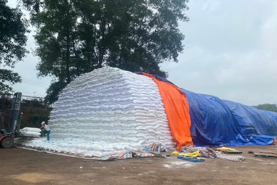 Hàng chục nghìn tấn tinh bột sắn ở Nghệ An tồn kho, tiêu thụ bế tắc
