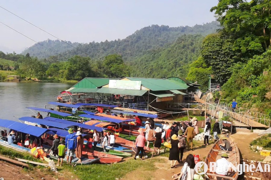 Lãnh đạo UBND tỉnh chỉ đạo xử lý dứt điểm vi phạm ở Phà Lài