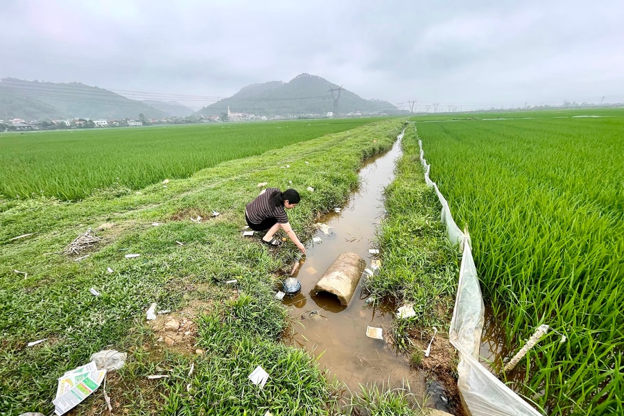 'Rác độc' bị vứt bừa bãi trên nhiều cánh đồng ở Nghệ An