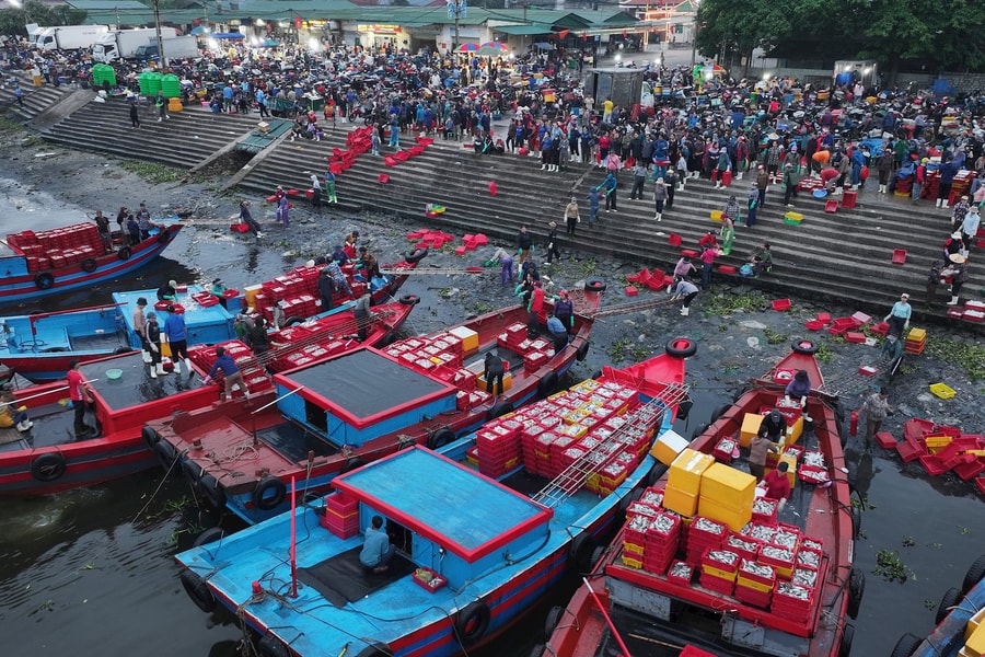 Chen chân 'săn' hải sản tươi ở cảng cá nức tiếng Cửa Lò