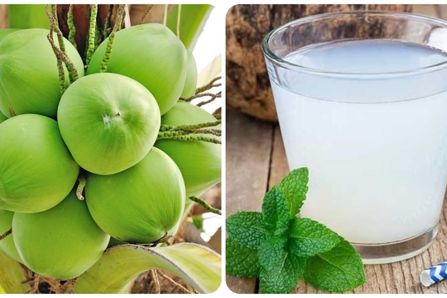 Uống nước dừa buổi sáng có tác dụng gì?