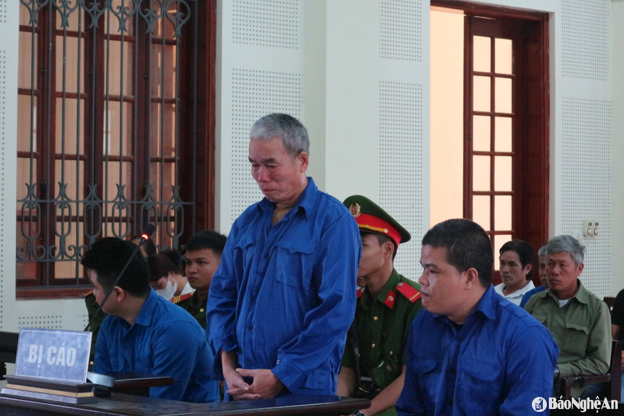 Gã thợ xây vào tù vì nhận tiền công bằng ma túy