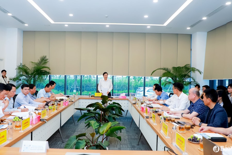 Chủ tịch UBND tỉnh Lê Hồng Vinh làm việc với VSIP Nghệ An và các nhà đầu tư thứ cấp