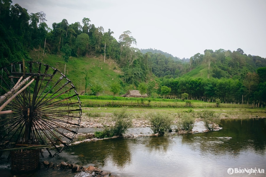 Hướng mở mới thoát nghèo cho người Đan Lai ở bản Thỉn