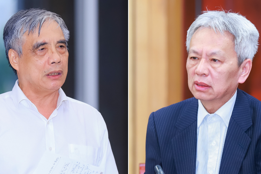 Phó Giáo sư Trần Đình Thiên, Tiến sĩ Nguyễn Sĩ Dũng làm ủy viên Hội đồng tư vấn chính sách của Thủ tướng