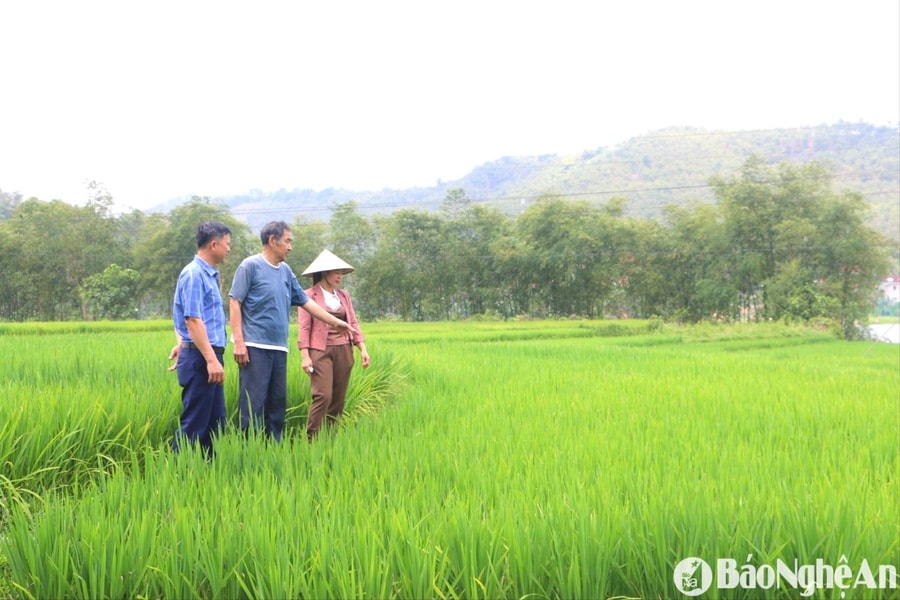 'Thủ lĩnh' nhà nông khéo việc bản, giỏi việc dân