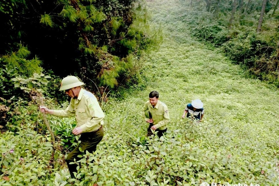 Nam Đàn tăng cường phòng chống cháy rừng tại các điểm di tích lịch sử