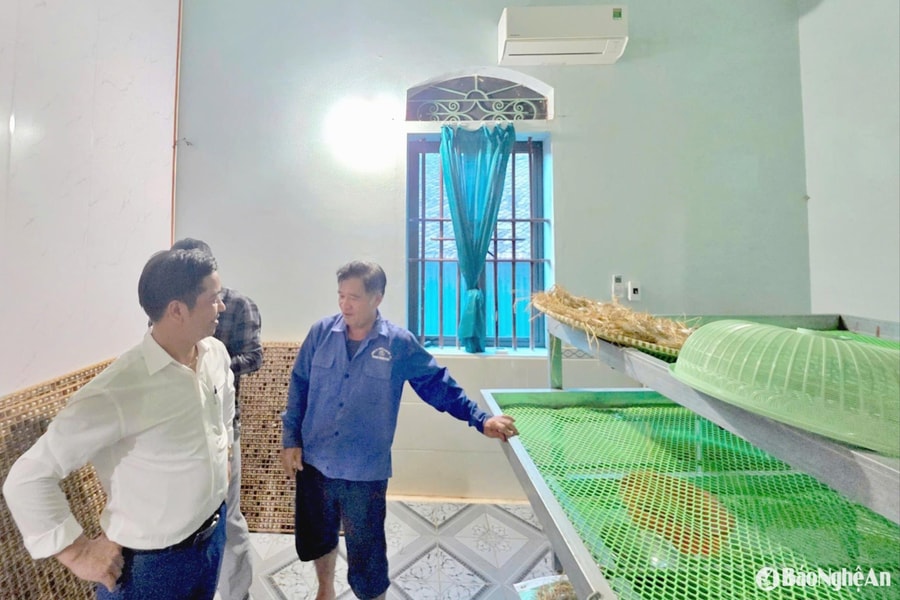 Nông dân Nghệ An nuôi tằm trong phòng điều hoà