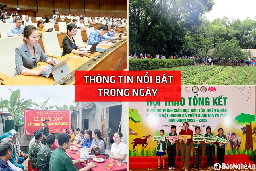 Nghệ An: Thông tin nổi bật ngày 10/5