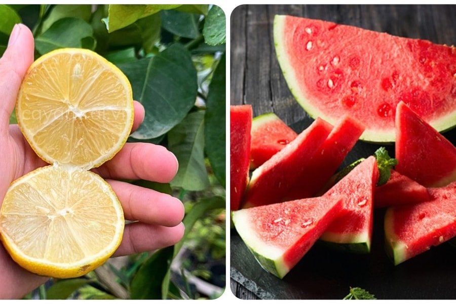 Những thực phẩm kết hợp với nhau giúp gan khỏe mạnh