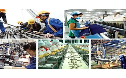 Kế hoạch hành động của Chính phủ về phát triển kinh tế tư nhân