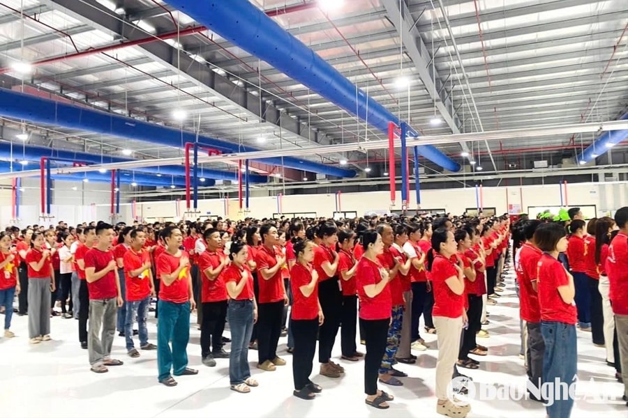 Công đoàn Nghệ An triển khai hoạt động ý nghĩa trong ngày sinh nhật Bác