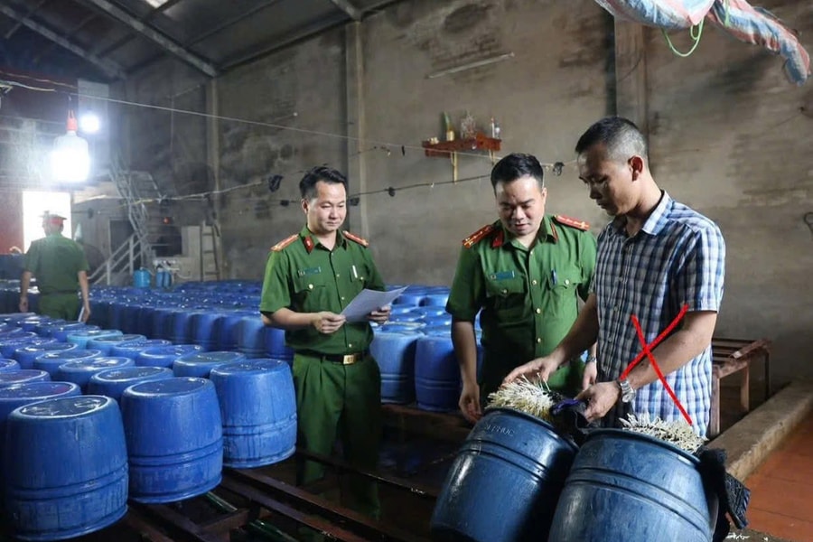 Khởi tố chủ cơ sở bán 60 tấn giá đỗ dùng chất kích thích tăng trưởng