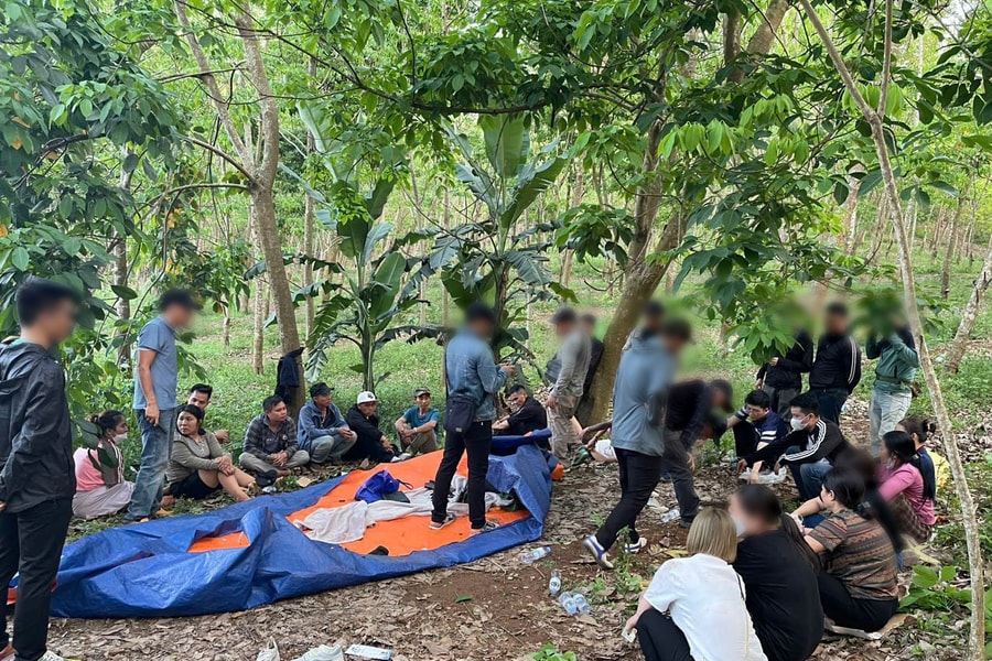 Công an Nghệ An triệt xóa 'ổ nhóm' đánh bạc trong rừng với nhiều đối tượng có tiền án