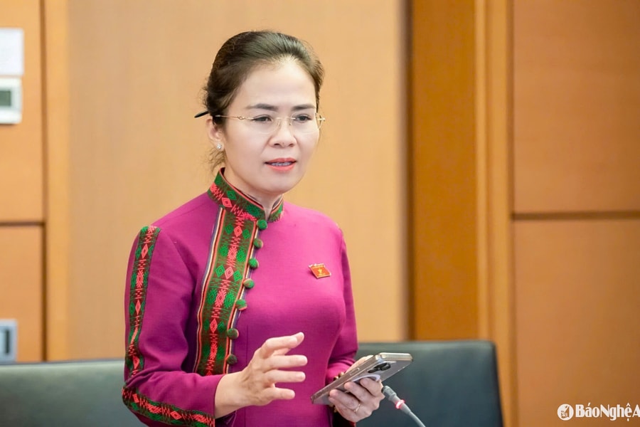 Đại biểu Quốc hội Võ Thị Minh Sinh thảo luận về tính chất 'trực thuộc' của các tổ chức thành viên MTTQ Việt Nam