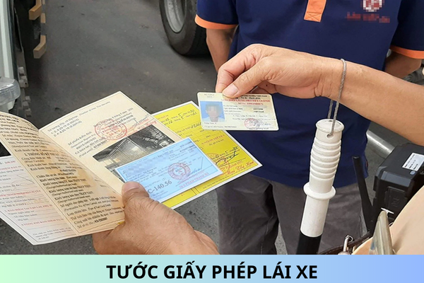 Thời điểm bắt đầu tính thời hạn tước quyền sử dụng giấy phép lái xe năm 2025?