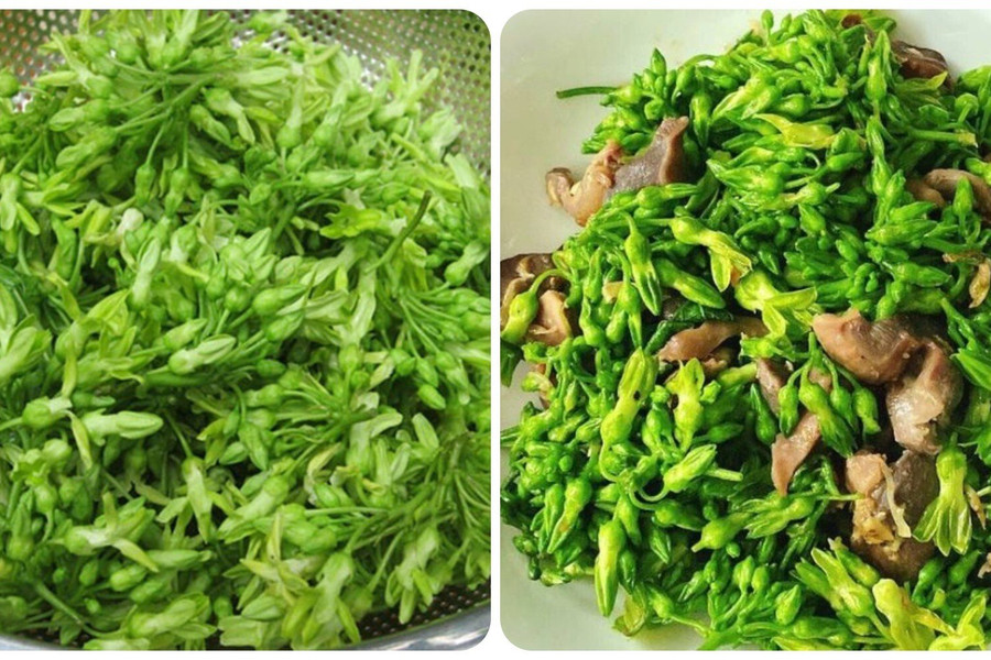 Loại hoa quen thuộc giúp bổ gan, tốt thận