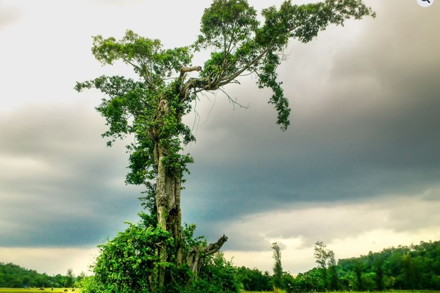 Đại hội đại biểu Đảng bộ tỉnh Nghệ An lần thứ VI (15 - 29/4/1949)