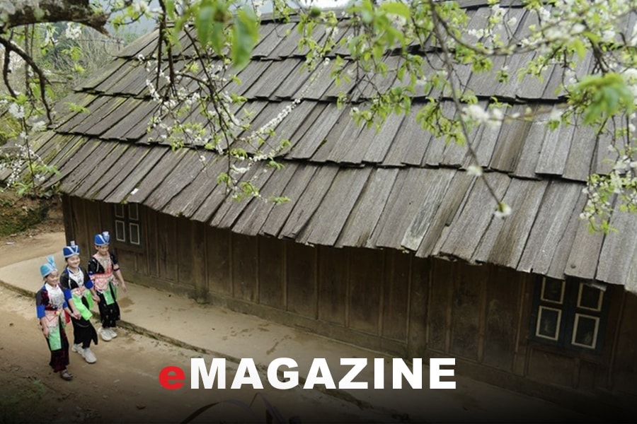 Trăm năm mái cổ sa mu