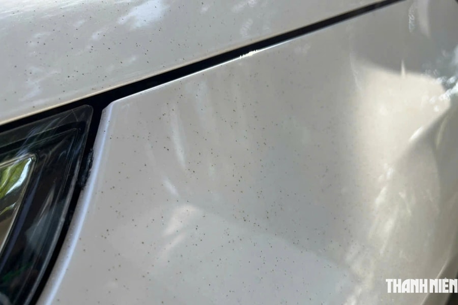 Mẹo tẩy sạch vết nhựa cây bám li ti trên bề mặt ô tô