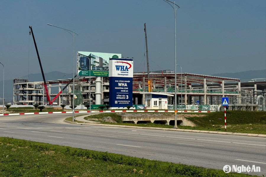 8 chính sách mới có hiệu lực từ tháng 6/2025