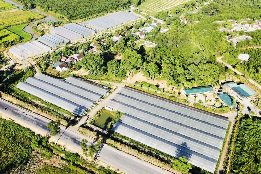 Nghệ An ứng dụng công nghệ cao vào sản xuất nông nghiệp