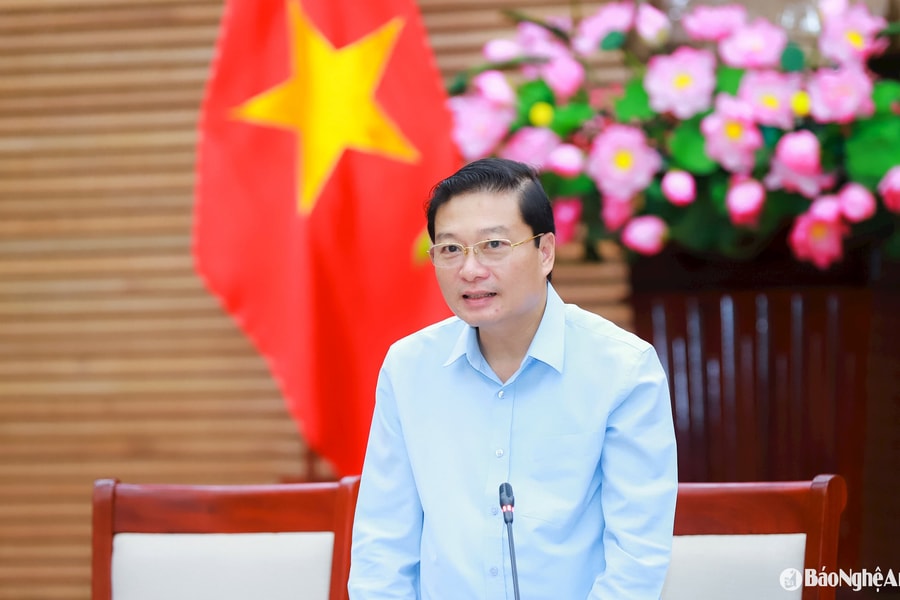 UBND tỉnh Nghệ An họp phiên chuyên đề tháng 6/2025: Đánh giá toàn diện, thúc đẩy nhiệm vụ 6 tháng cuối năm