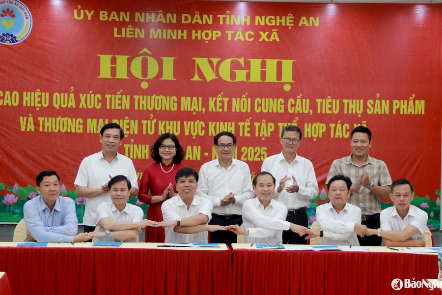 Hỗ trợ các hợp tác xã xây dựng chuỗi giá trị liên kết từ sản xuất - chế biến - tiêu thụ