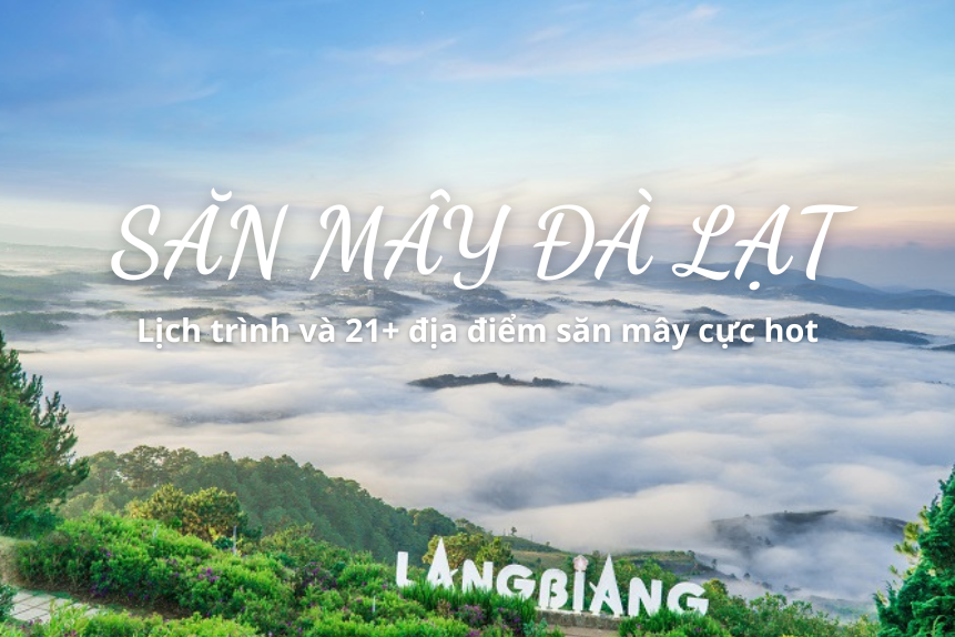 Săn mây Đà Lạt: 21+ địa điểm check-in đẹp nhất 2025