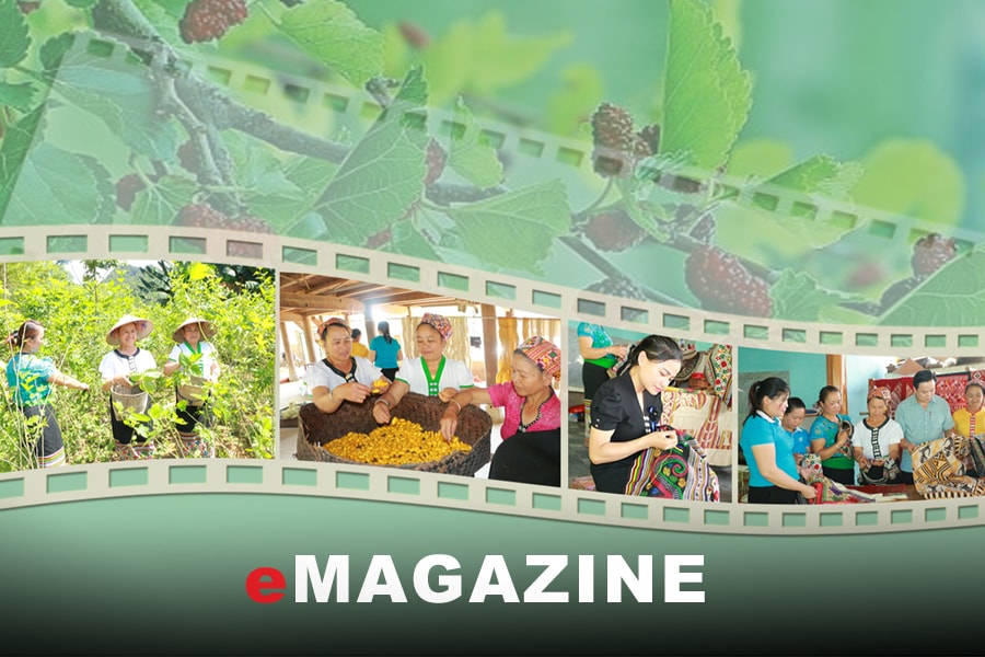 "Giữ lửa" nghề trồng dâu nuôi tằm ở vùng cao