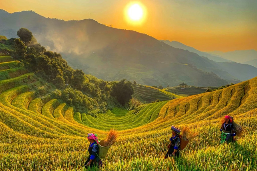 Một ngày khám phá Thung Lũng Tú Lệ, Bali của Việt Nam
