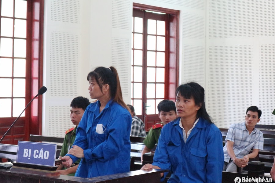 Lừa bán trẻ em sang Trung Quốc lấy chồng, 8 năm sau hai “nữ quái” bị tố lĩnh án