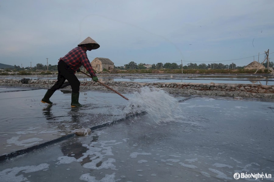 Chuyện những người 'cướp nắng'